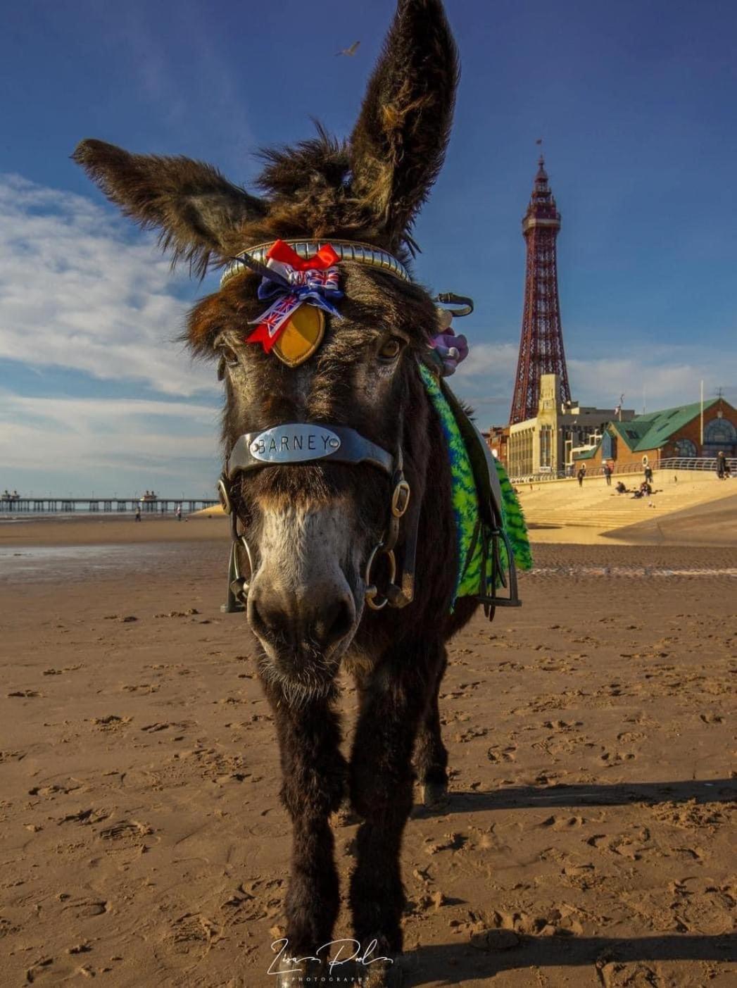 The Bailey Hotel Blackpool (Adults Only) Ngoại thất bức ảnh